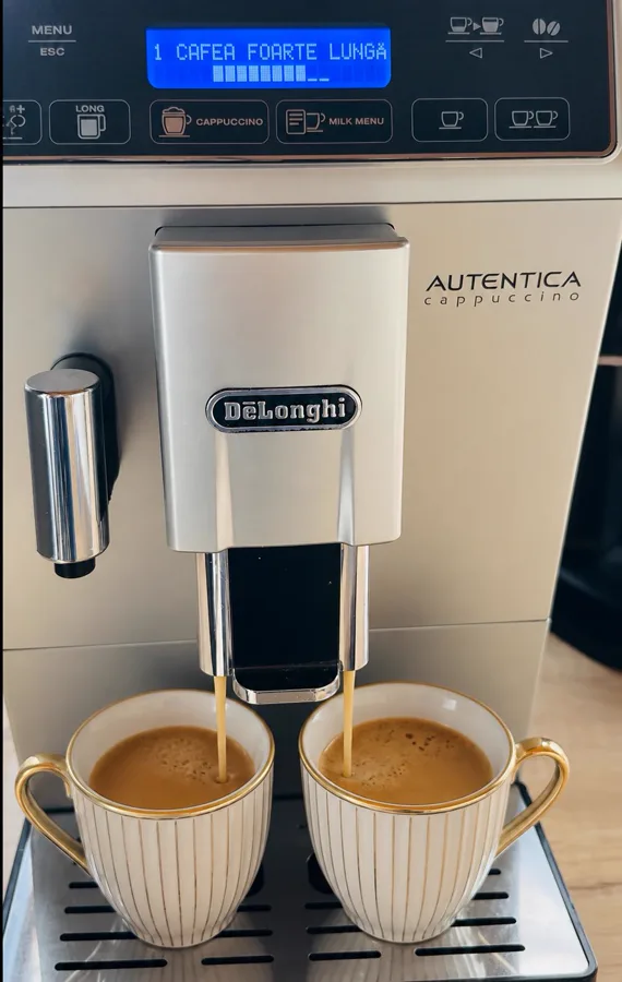 DeLonghi Autentica espresso machine — quality coffee at Casa Frătilă